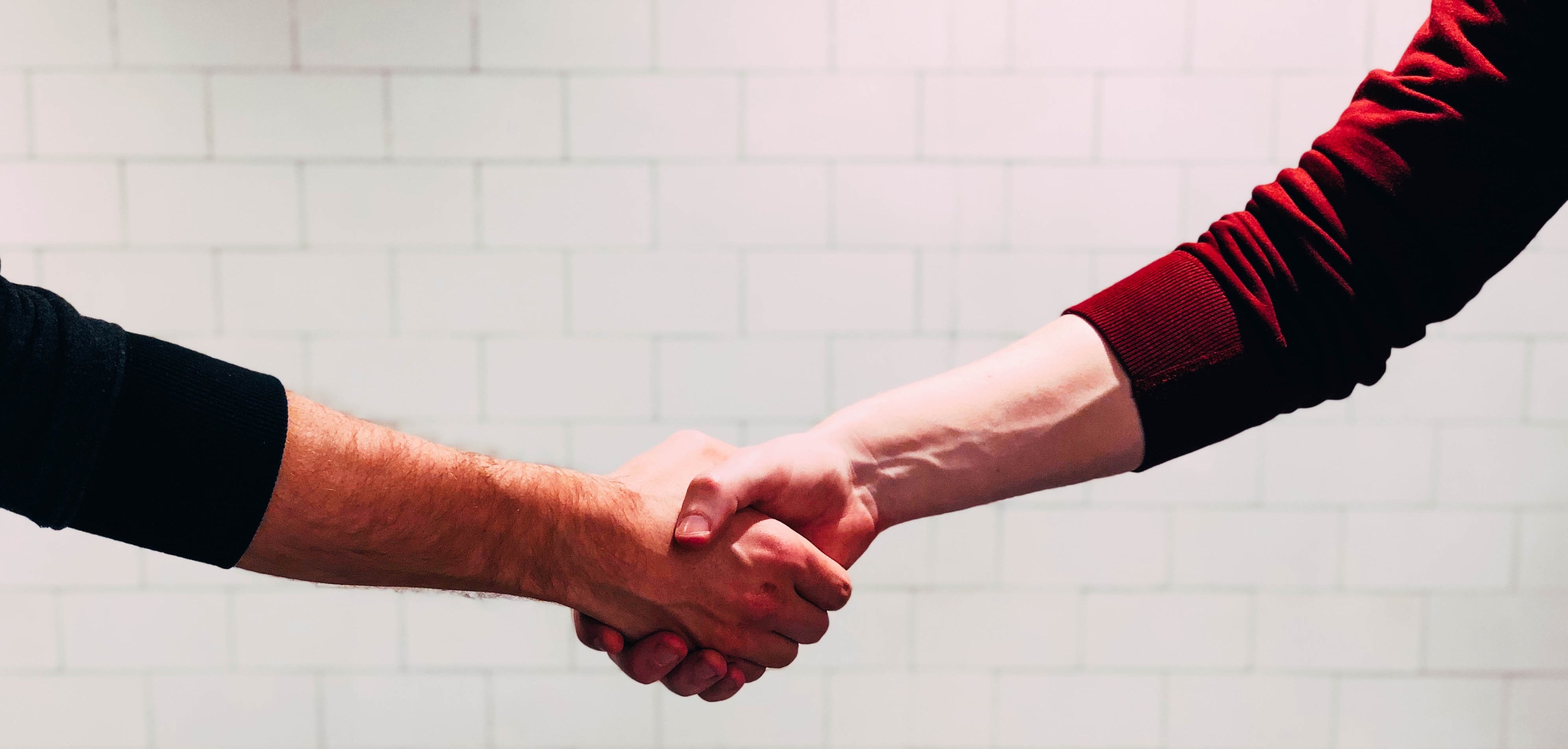 Two person shaking hands near white painted wall