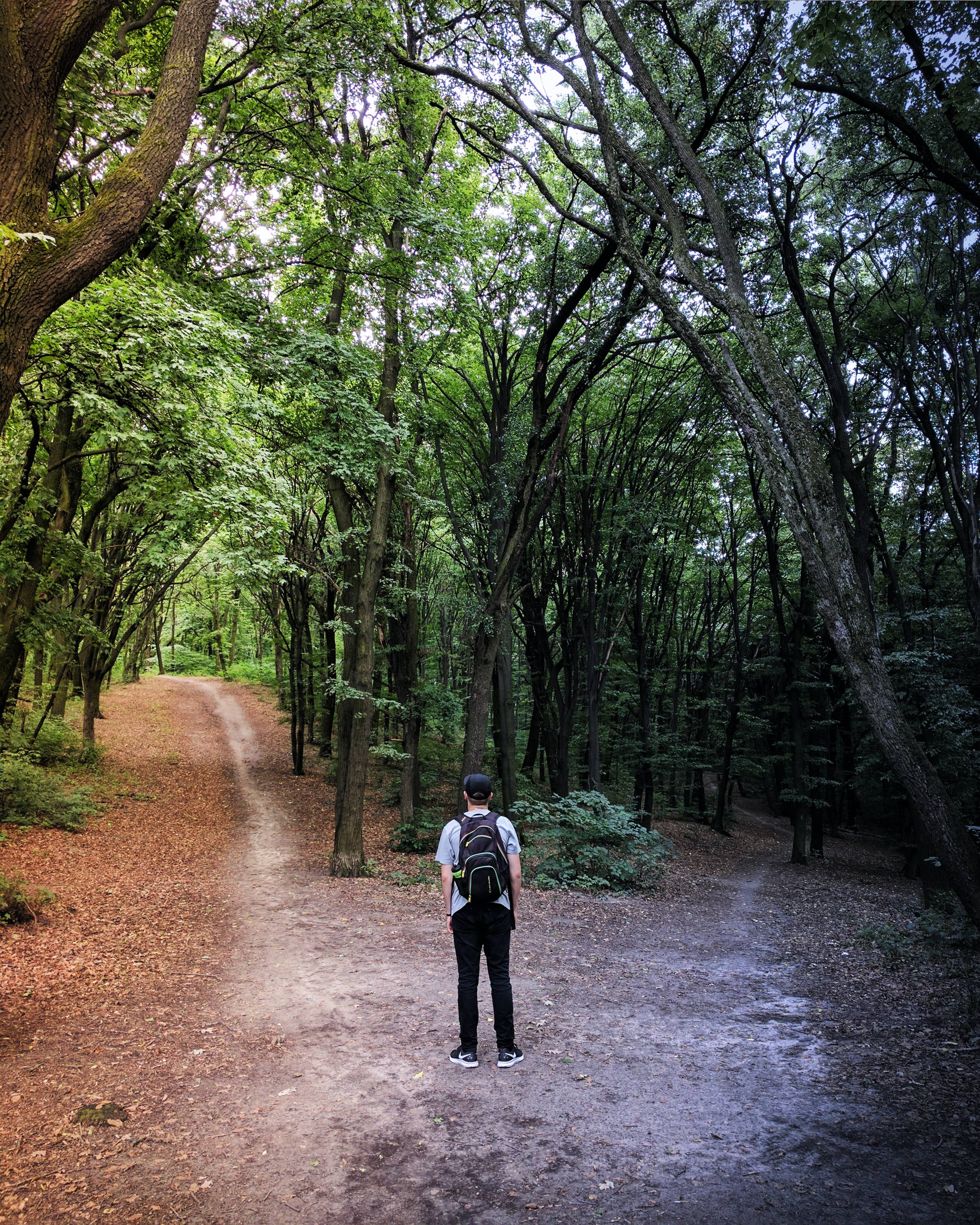 Man standing in the middle of woods